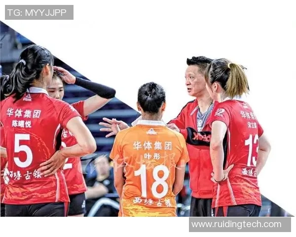 上海排球队力量之争引发热议球迷与专家观点交锋