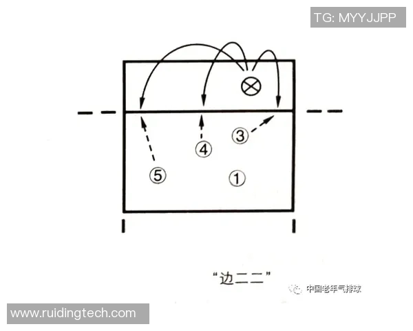 广州排球队中路突破战术解析与实战应用探讨 广州排球队中路突破战术解析与实战应用探讨