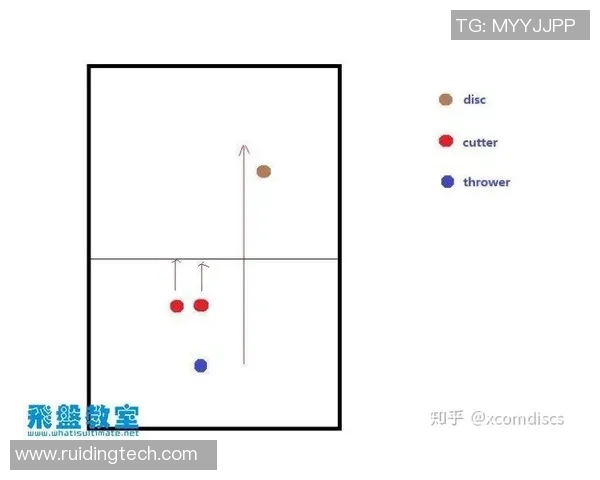 杭州飞盘队防守策略分析与比赛表现评估 杭州飞盘队防守策略分析与比赛表现评估